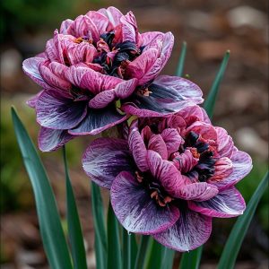 Нарцисс Моргатн Мотив купить по цене от 2000р. в интернет-магазине «Посадика» с доставкой почтой в в Николаевске и по всей России – [изображение №1].