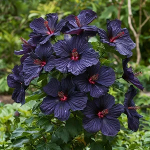 Гибискус Мэджик Момент купить по цене от 699р. в интернет-магазине «Посадика» с доставкой почтой в в Николаевске и по всей России – [изображение №1].