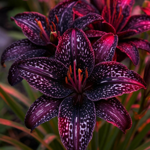 Лилейник Вояж купить по цене от 699р. в интернет-магазине «Посадика» с доставкой почтой в в Николаевске и по всей России – [изображение №1].